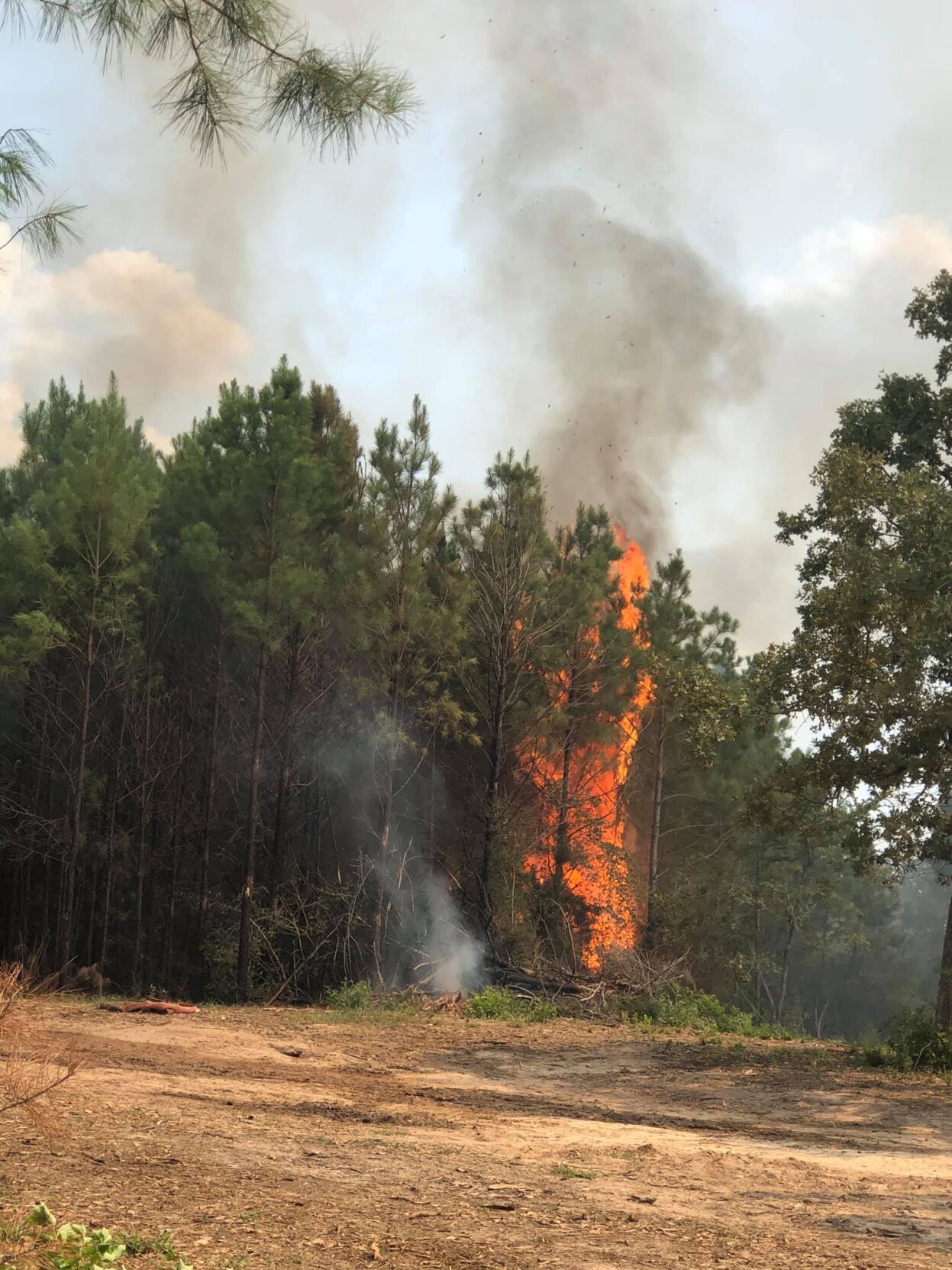 Lost Indian Camp Wildfire